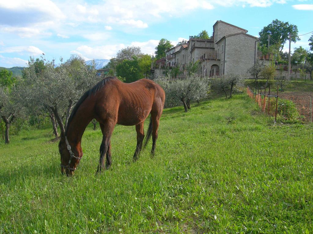 Agriturismo Borgo San Martino Abbateggio Экстерьер фото