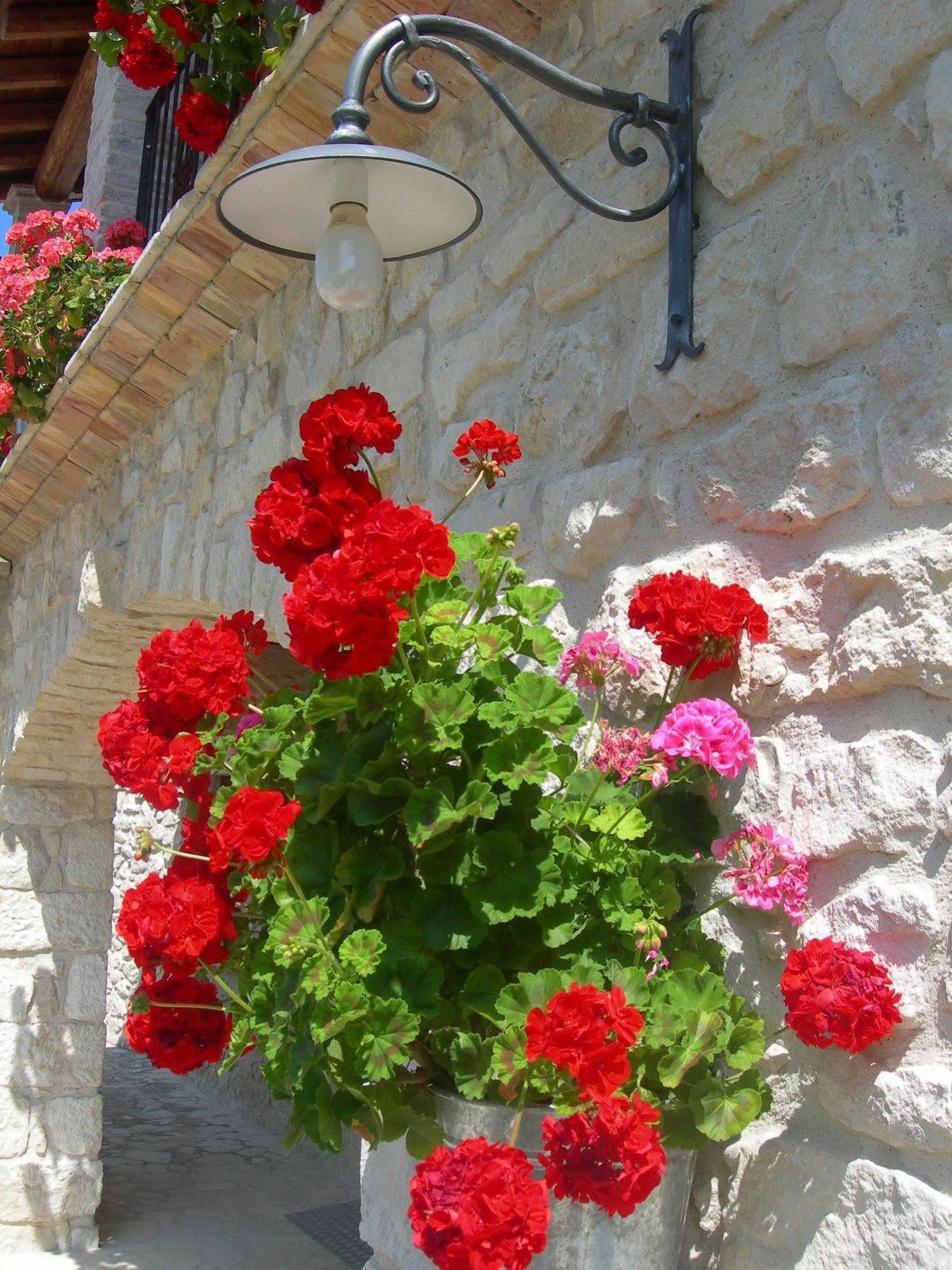 Agriturismo Borgo San Martino Abbateggio Экстерьер фото