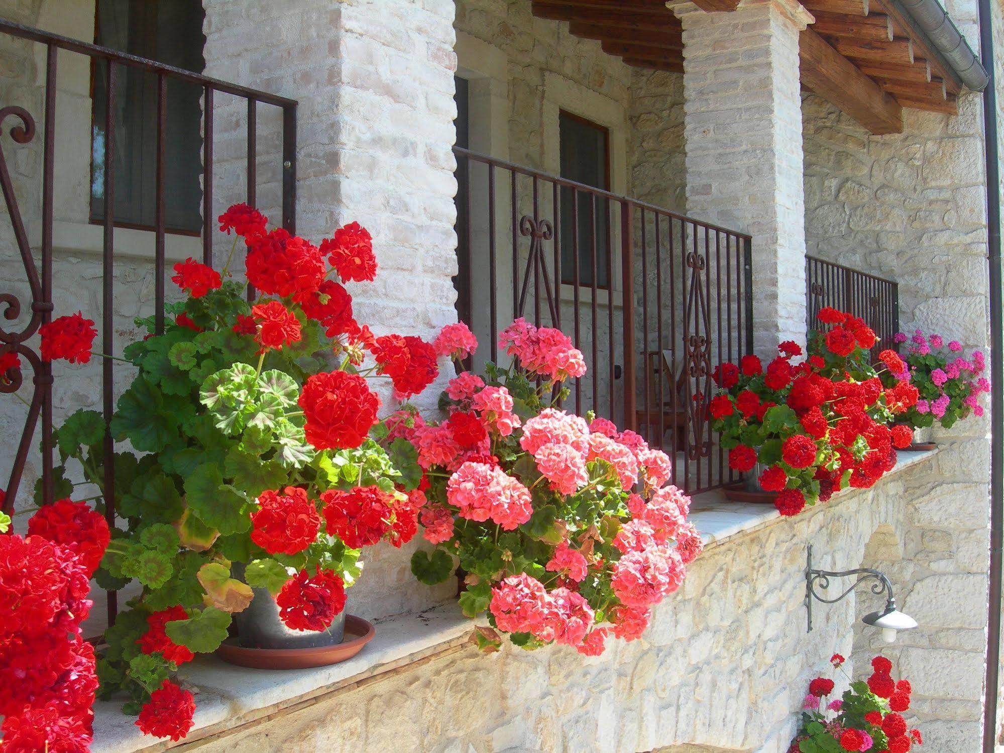 Agriturismo Borgo San Martino Abbateggio Экстерьер фото